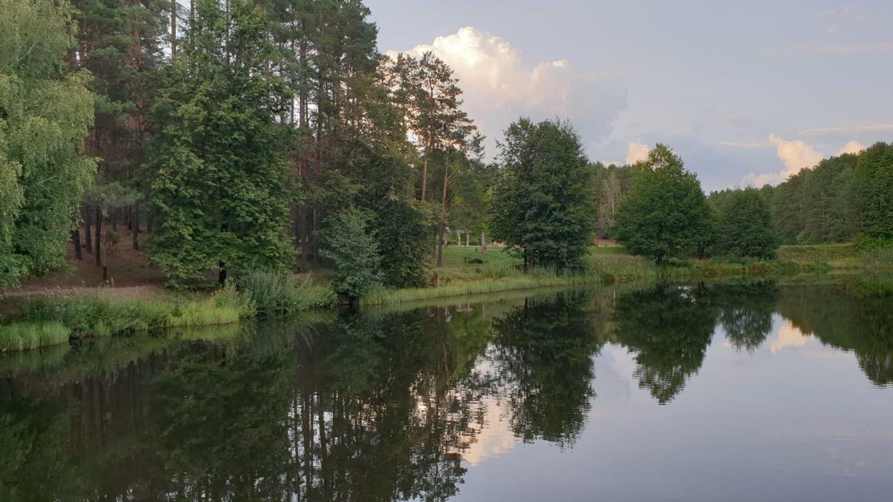 דרוסקינינקאי Garden Studio By The Lake With Air-Con And Infrasauna מראה חיצוני תמונה